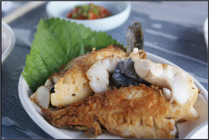 경주 감포 참가자미 회+ 이시가리 경주 감포 참가자미 회+ 이시가리