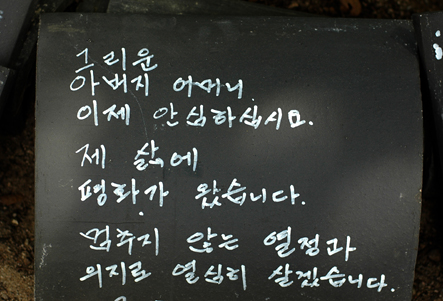 바다가그리운나무 이미지