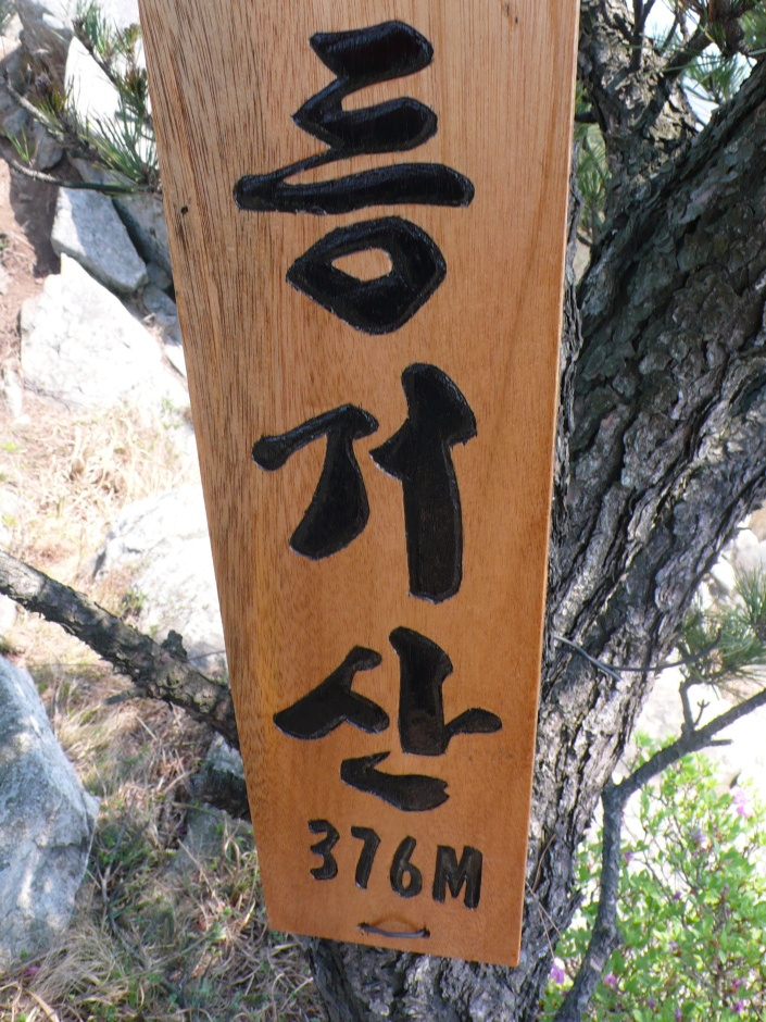 차완 이미지
