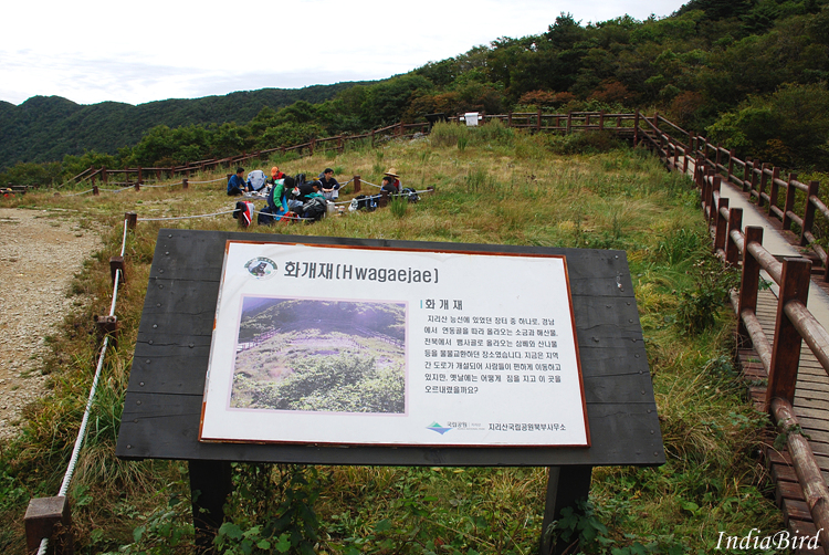 저질체력의 지리산 산행기 1편~대전에서 벽소령까지 - 등산 갤러리