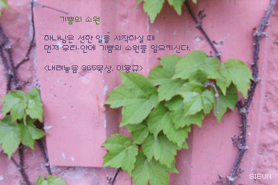 기쁨과소원 이미지