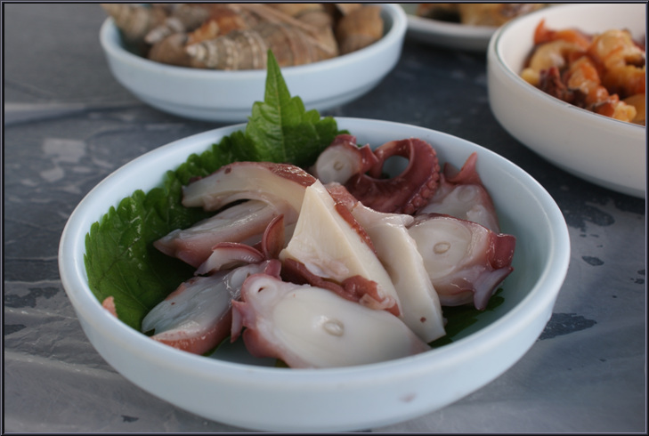 경주 감포 참가자미 회+ 이시가리 경주 감포 참가자미 회+ 이시가리