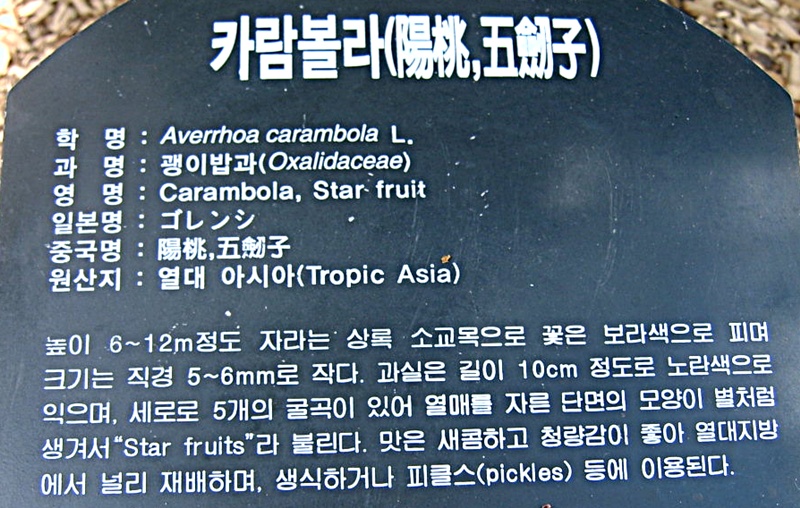여미지 이미지