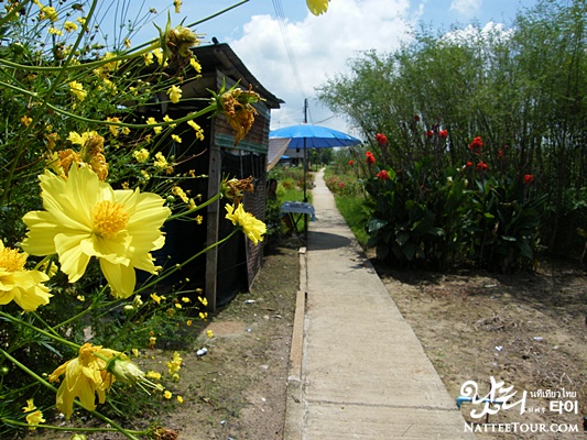 48c550b131a37&amp;filename=t086.jpg