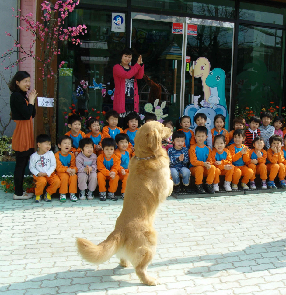 마루유치원 이미지