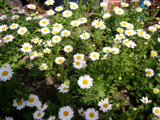 49f1329d49538&filename=SNC10002.JPG