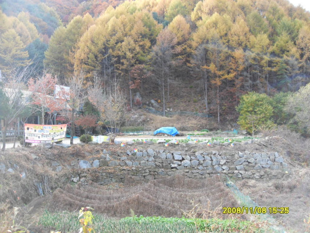 카페11월 이미지