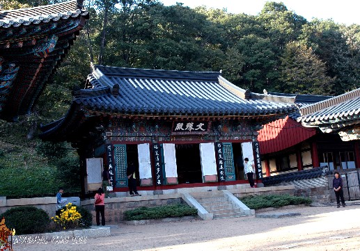 마니보 이미지