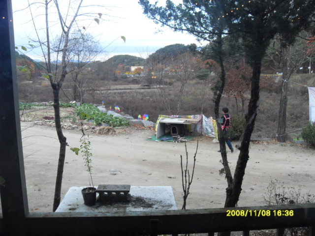 카페11월 이미지