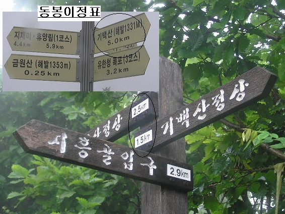 기백 이미지