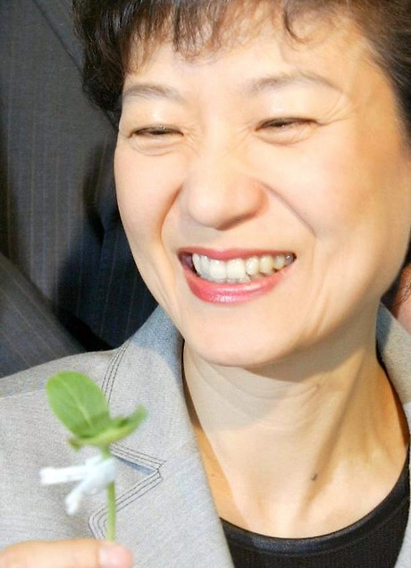 대박 이미지