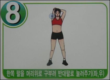 웰빙스트레칭 이미지
