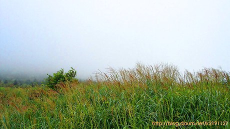 바람과노래 이미지