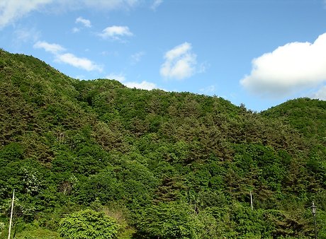 치악산 전경 이미지