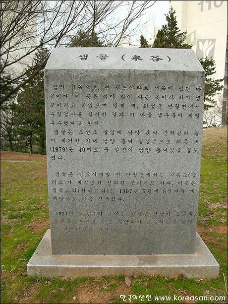 상록수 이미지