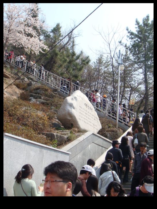 로망스 이미지