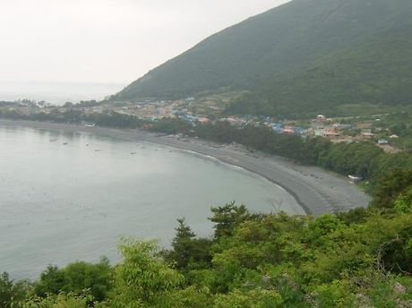 완도바다소리 이미지