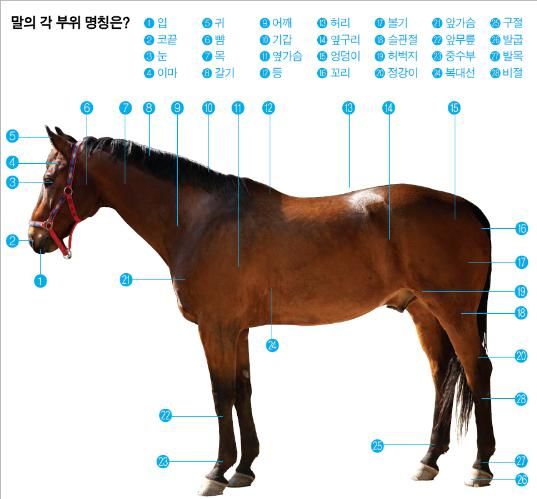 그때그때달라요 이미지