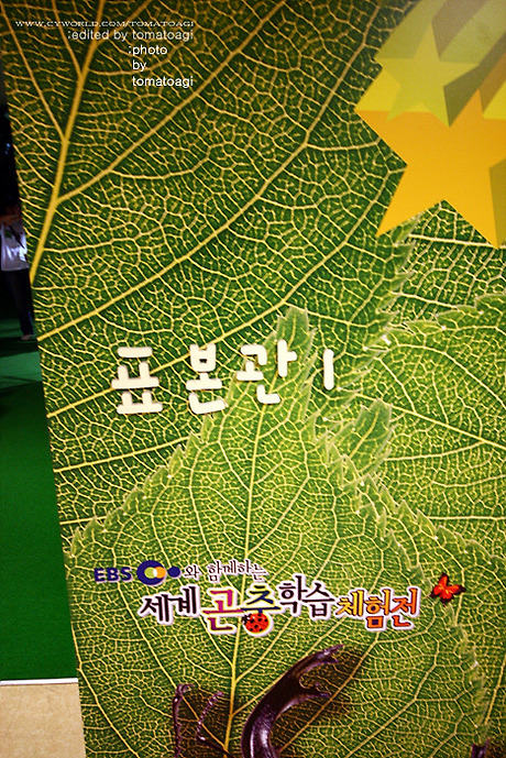 모두의곤충 이미지