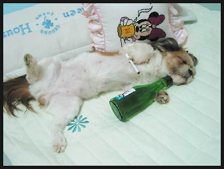나두 이미지