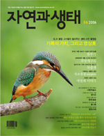나모 이미지