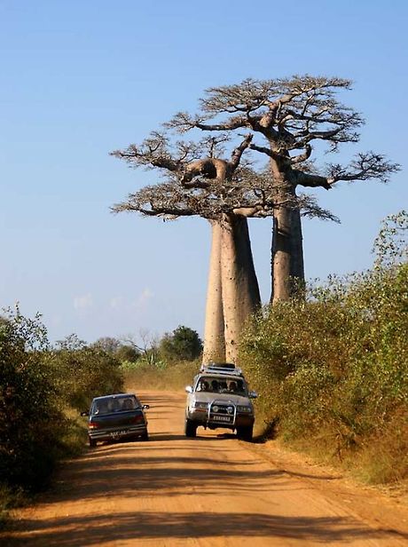 행복한나날들이시길..