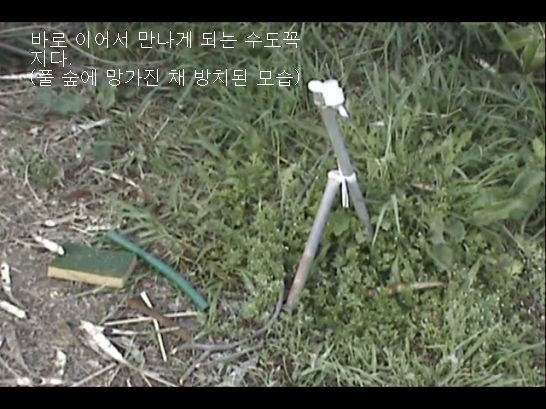 정자낚시터 이미지