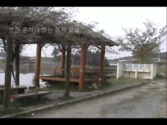 정자낚시터 이미지